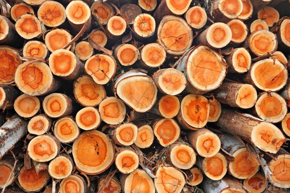 NHÓM HƯƠNG GỖ THIÊN NHIÊN